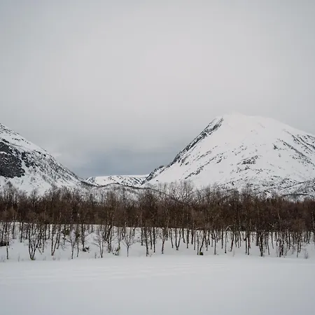 Fredfullt Hus Ved Oksfjordvannet Storslett