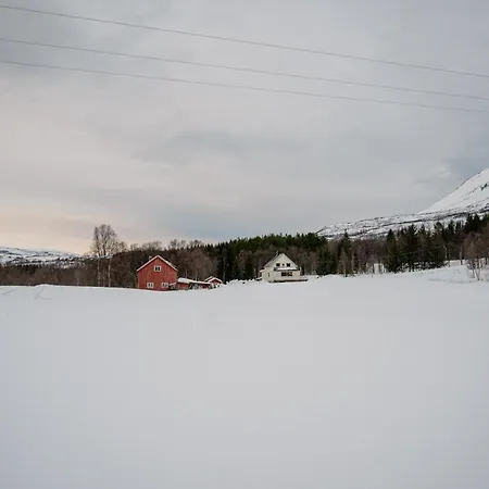 Fredfullt Hus Ved Oksfjordvannet Tatil Evi Storslett