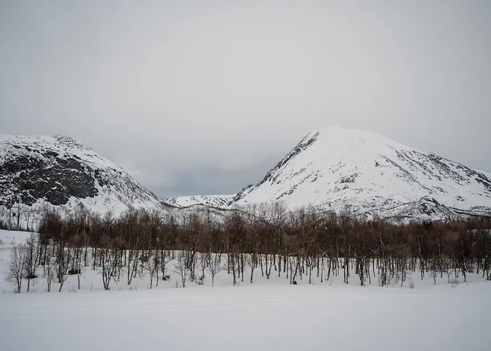 Fredfullt Hus Ved Oksfjordvannet Storslett
